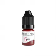 Pigment Buze Etalon Mix Cherry Mousse No. 5