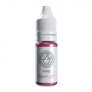 FACE Organic Love Paris - Pigment Micropigmentare Buze REACH 6ml