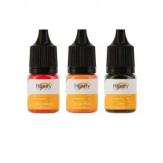Hanafy Corrector Set - Set 3 Pigmenti Corectori PMU Pentru Practica, 3 x 5ml