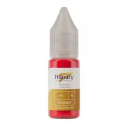 Hanafy Passion Palette No. 4 Istanbul - Pigment Buze PMU Pentru Practica