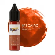 Hanafy Corrector No. 1 Cairo - Pigment Corector PMU Pentru Practica