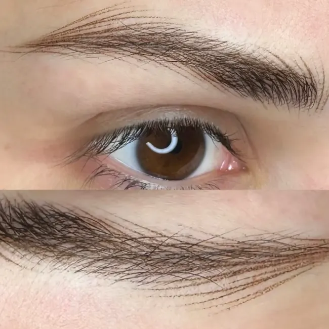 Hanafy No. 2 Atlanta - Pigment Hibrid PMU Sprancene si Eyeliner Pentru Practica