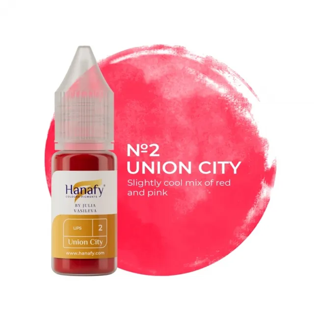 Hanafy Passion Palette No. 2 Union City - Pigment Buze PMU Pentru Practica