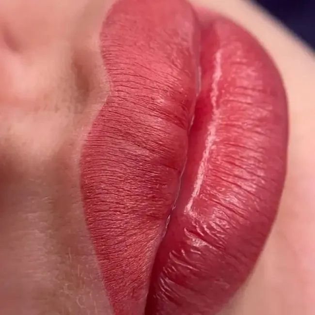Hanafy Lips No. 8 Red Earth - Pigment PMU Buze Pentru Practica