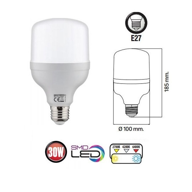 Bec LED 30W E27 Lumina Rece 6400K
