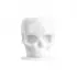 Capacele pentru Tus Tatuaje Skull 12mm - Set 50 Bucati